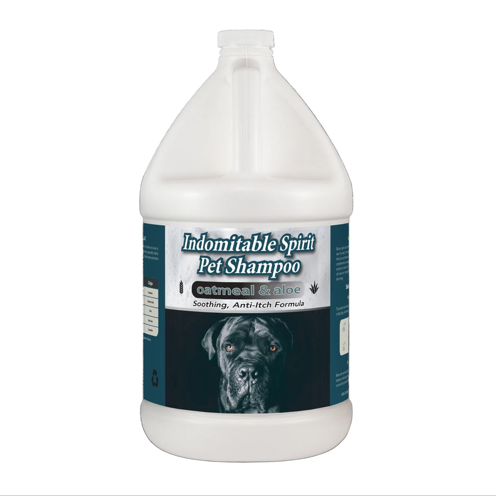 Gallon jug of Indomitable Spirit Pet Shampoo with a label featuring a Cane Corso dog's face on a white background.
