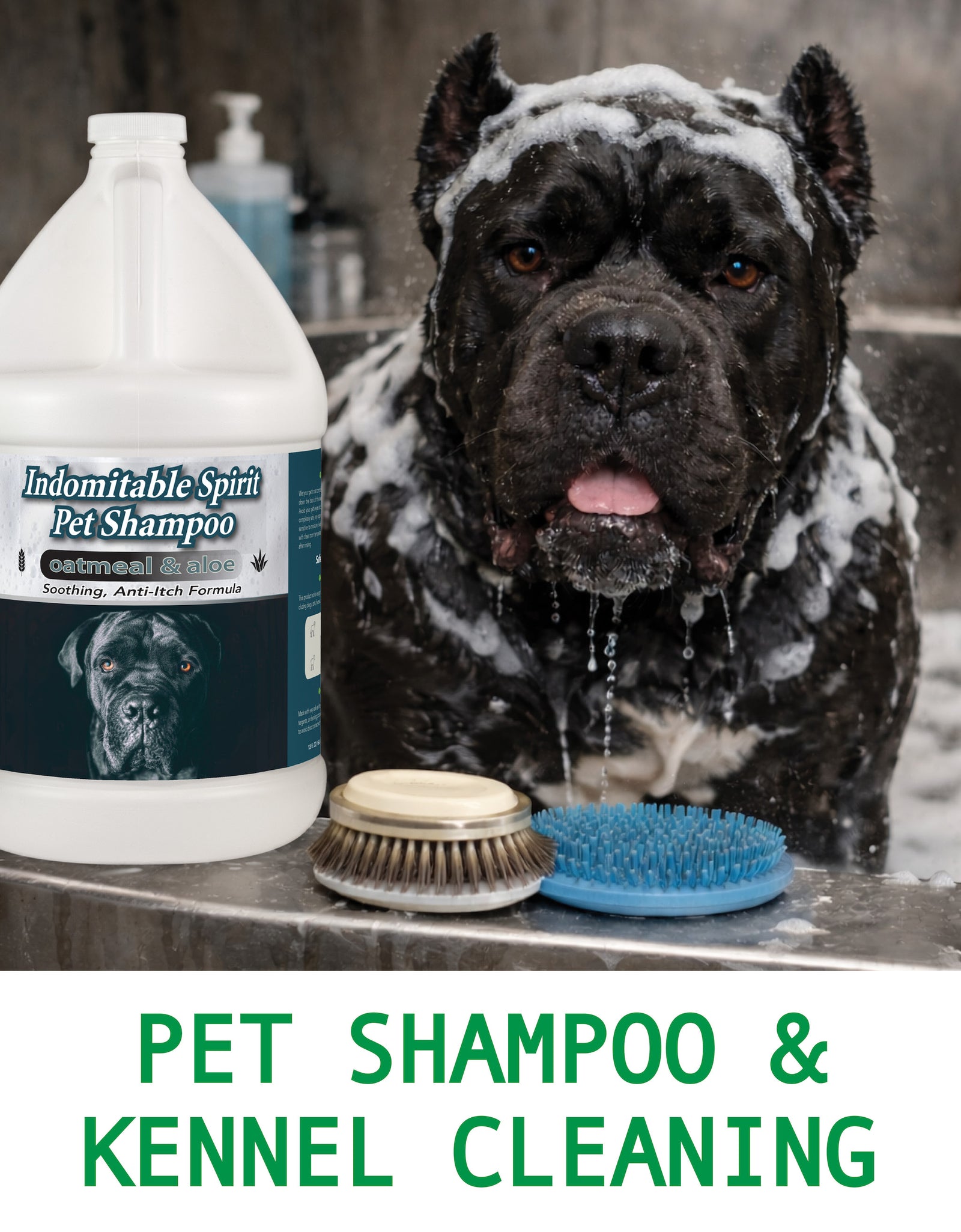 Dog being bathed with pet shampoo with grooming tools
